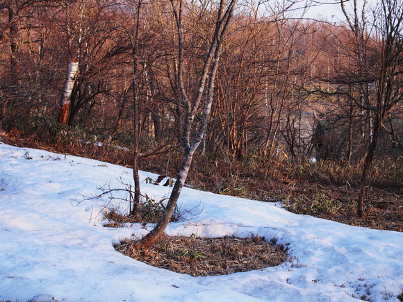 f0302208_14542538.jpg