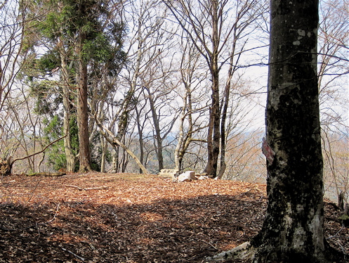 a0164011_21191467.jpg