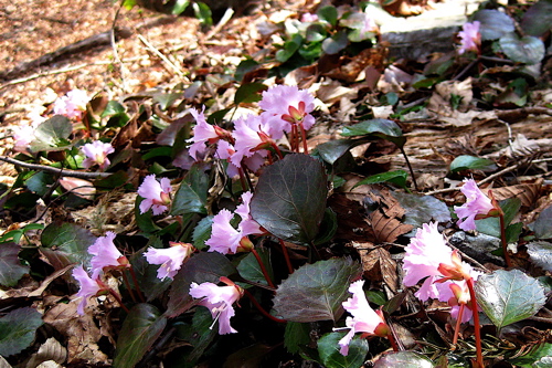a0164011_21192949.jpg