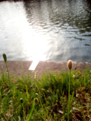 f0043911_1741321.jpg