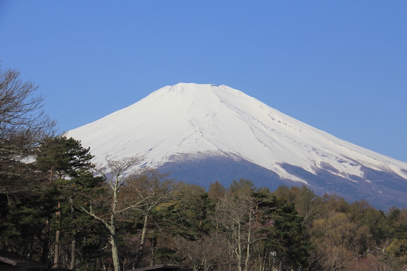 b0207615_15364378.jpg