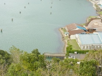 d0006323_142136.jpg