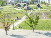 d0006323_1855741.jpg