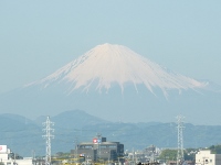 d0006323_1858322.jpg