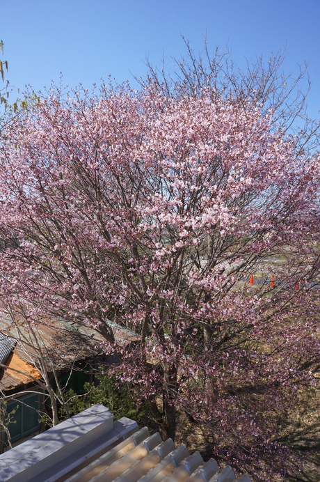 d0217833_9125998.jpg