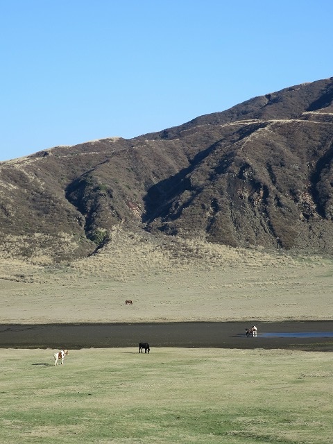 a0138134_14285063.jpg