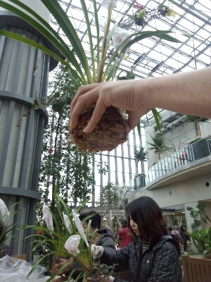 c0103137_1223368.jpg