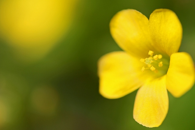 a0242438_20102531.jpg
