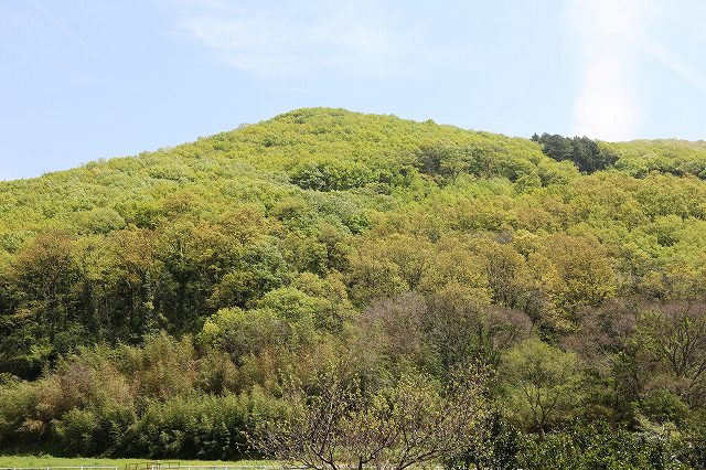 a0242438_2052685.jpg