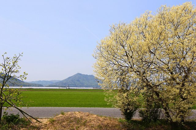 a0242438_2063463.jpg