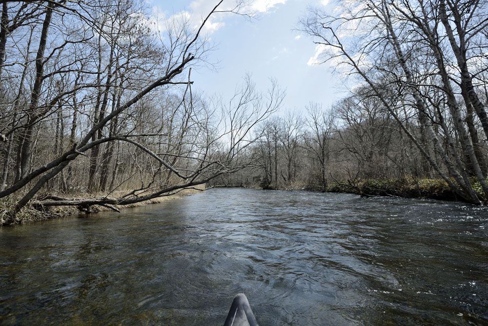 c0221838_2229689.jpg