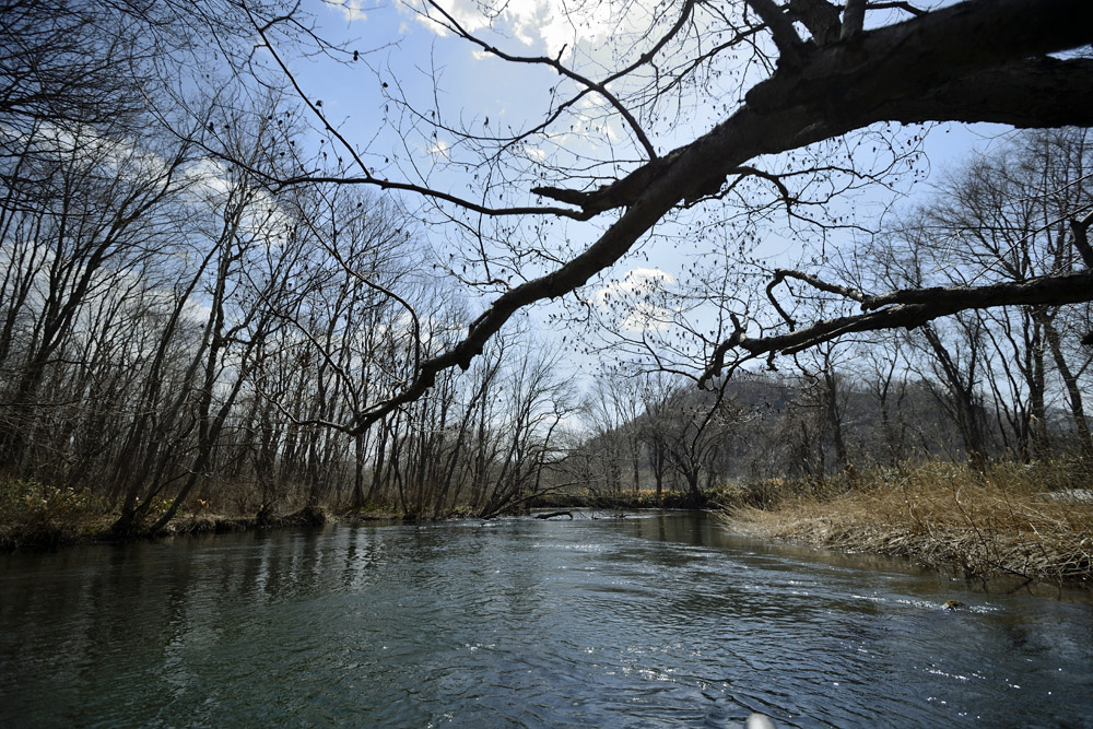 c0221838_22323670.jpg