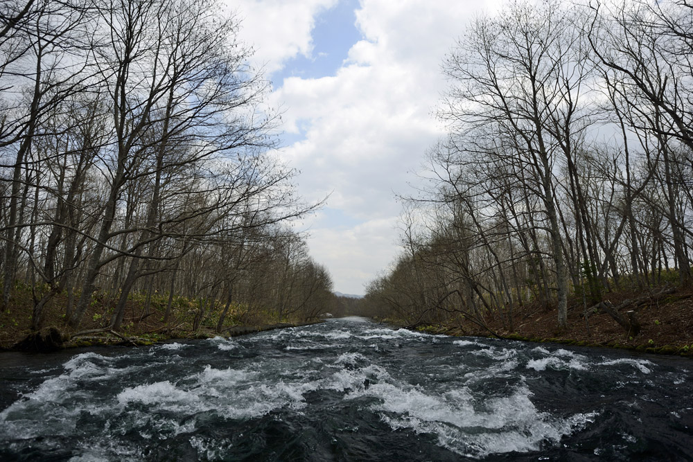 c0221838_22335873.jpg