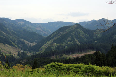 c0068639_0584929.jpg