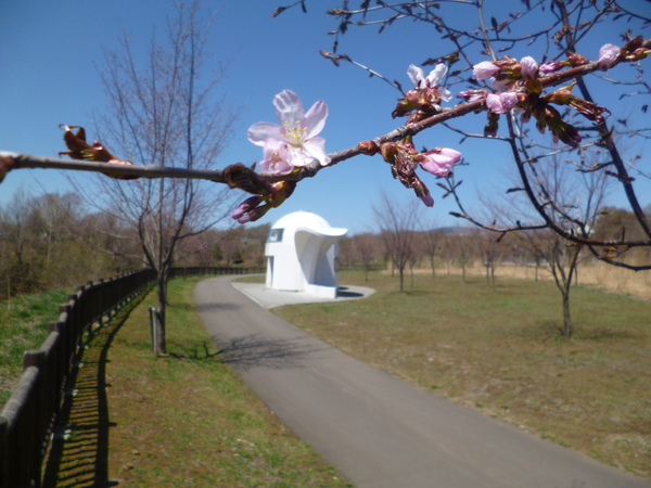 c0233141_12493940.jpg