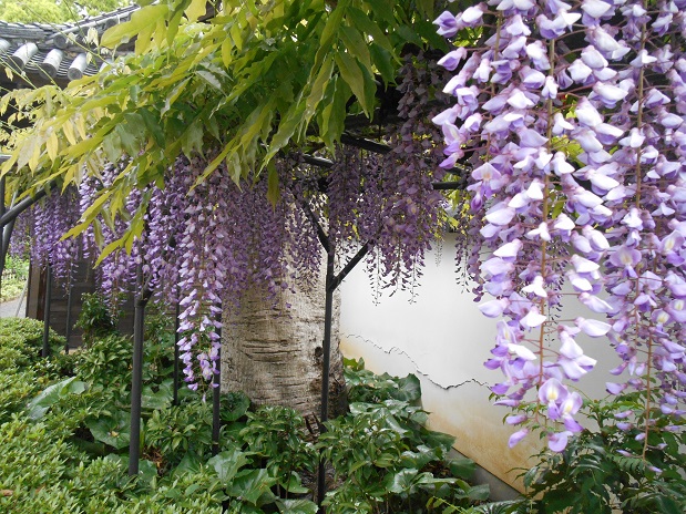 a0124543_2004190.jpg