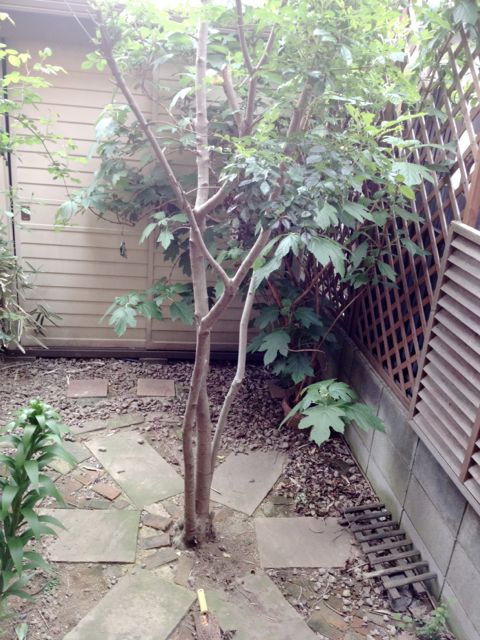 d0319745_13383888.jpg