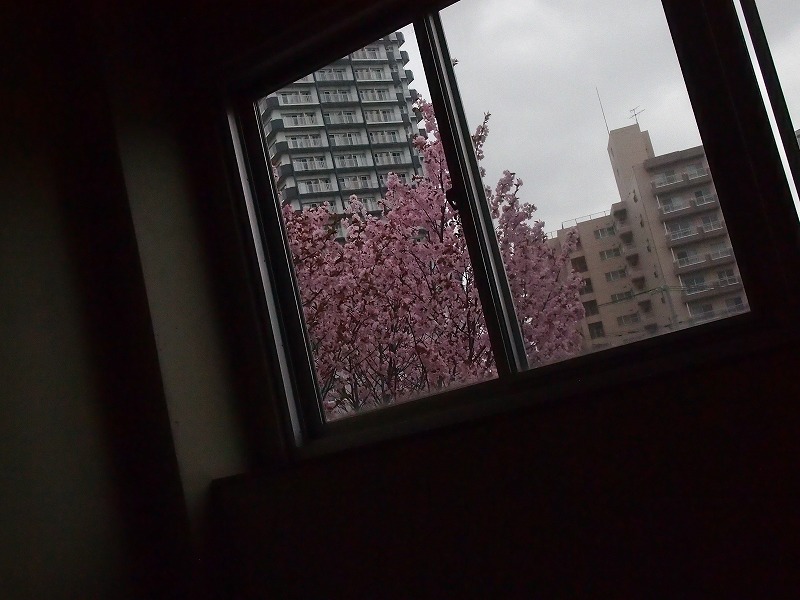 b0132951_11295586.jpg