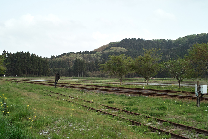 f0206356_1123146.jpg