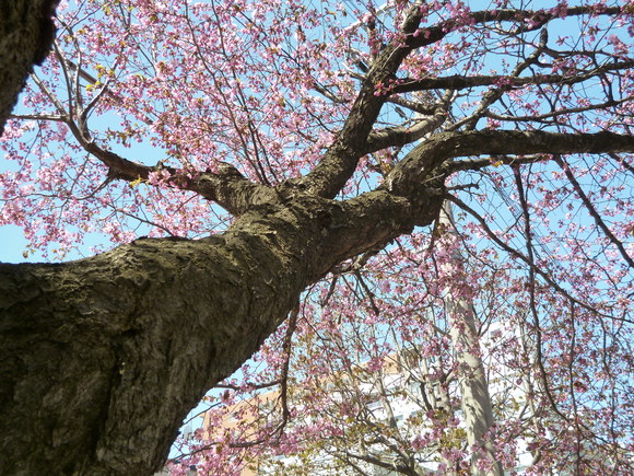 a0193457_16532191.jpg