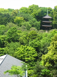 e0271461_19513859.jpg
