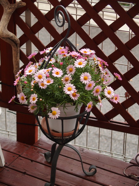 c0122670_22050646.jpg