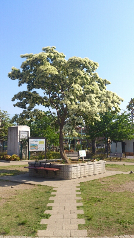 b0246876_2354985.jpg
