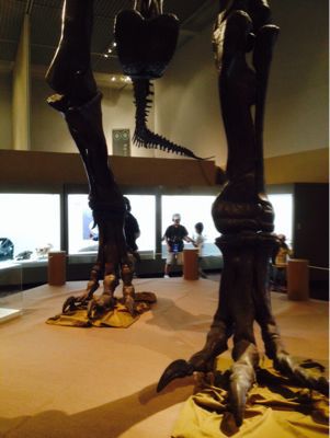 e0252180_7554869.jpg