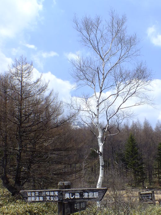 e0145782_10215339.jpg