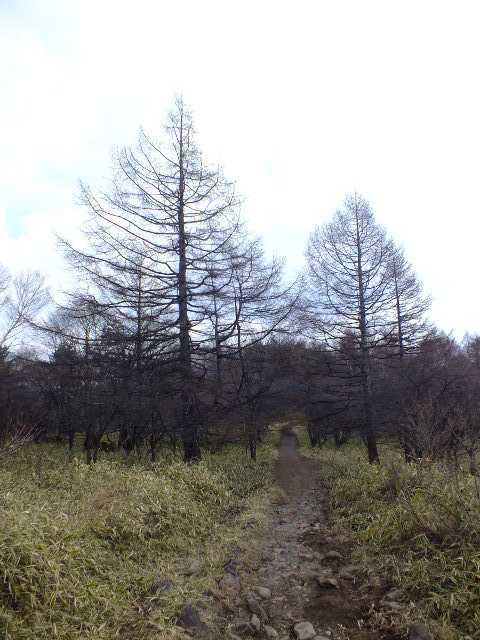e0145782_10222514.jpg