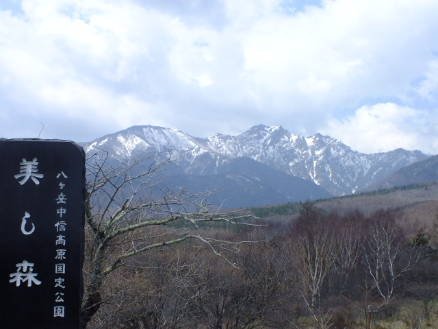 e0145782_103112.jpg