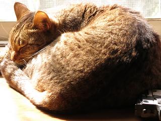 e0130185_1312157.jpg