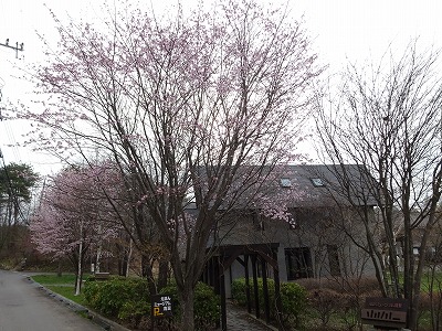 e0222588_17385314.jpg