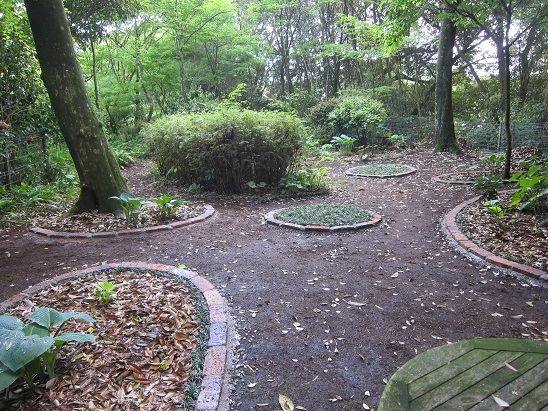 f0106692_1643291.jpg