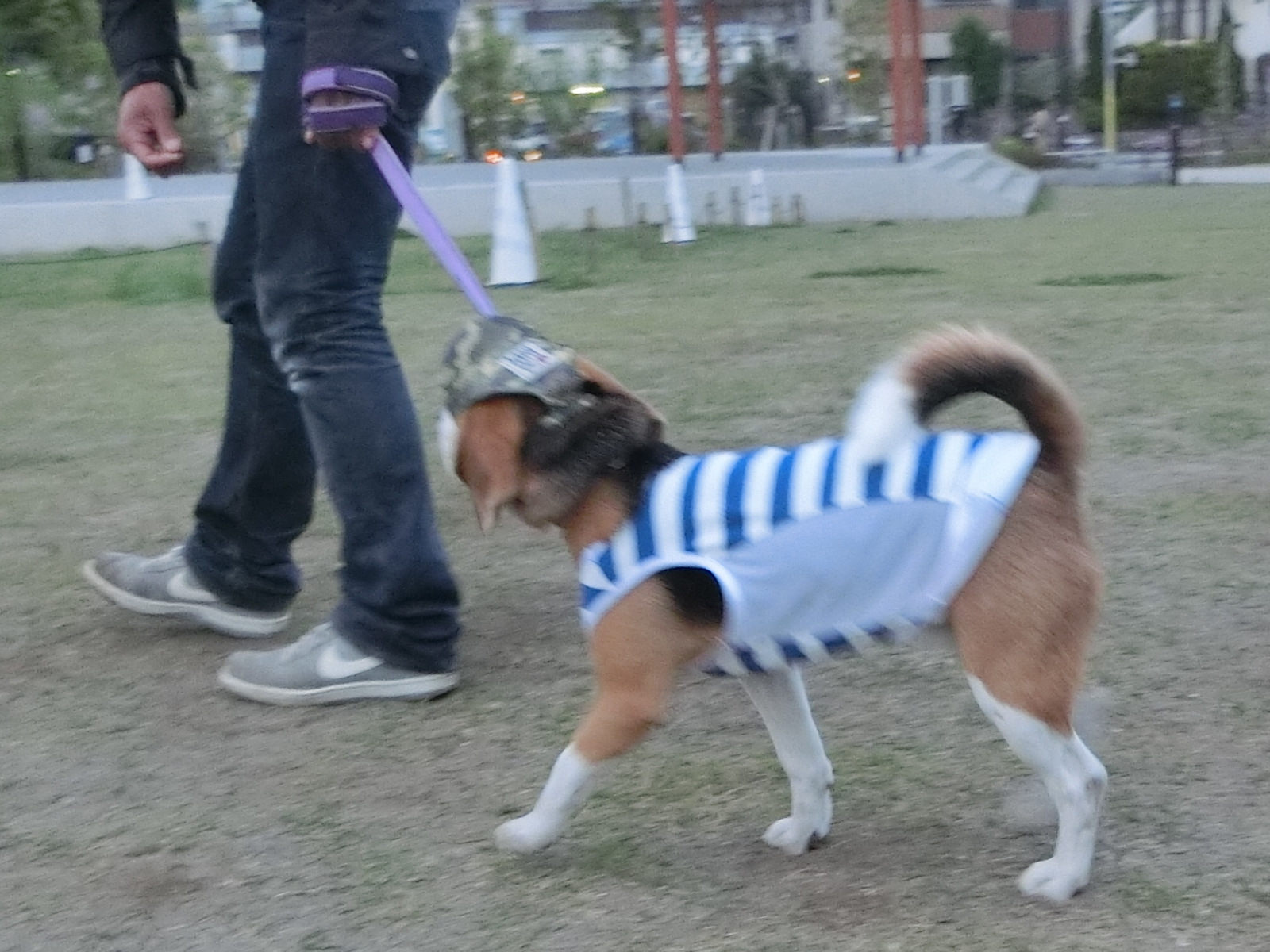 a0319693_16313570.jpg