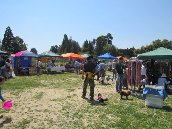 d0098295_22134339.jpg
