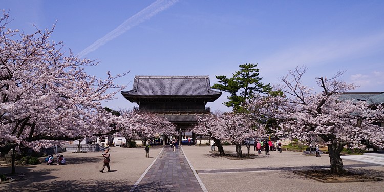 b0145398_21155716.jpg