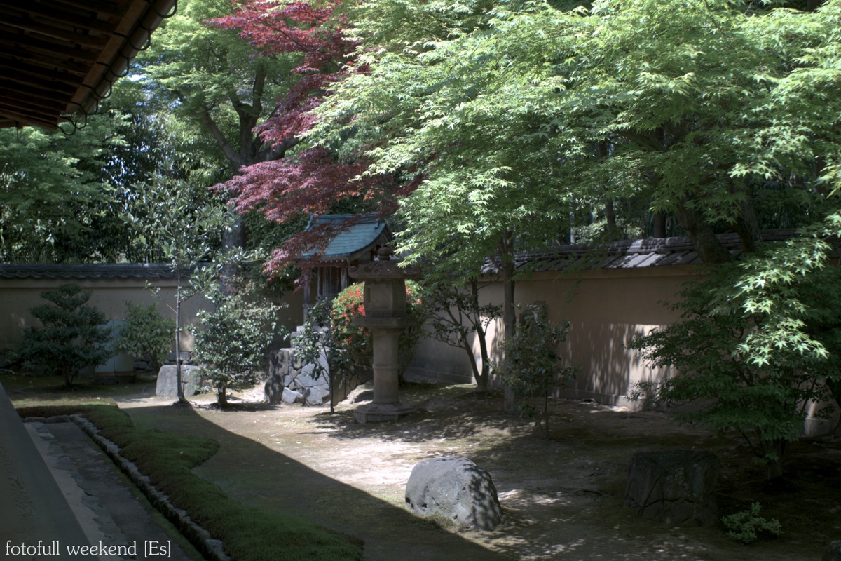 b0138101_1751760.jpg