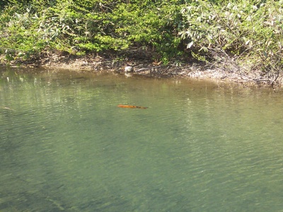 f0082402_23171035.jpg