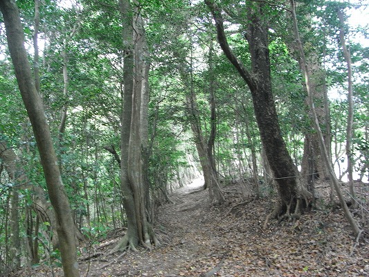 f0187402_2113328.jpg