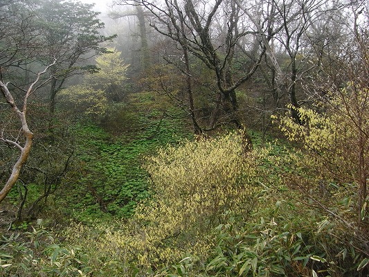 f0187402_21134756.jpg