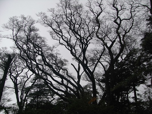 f0187402_21141839.jpg