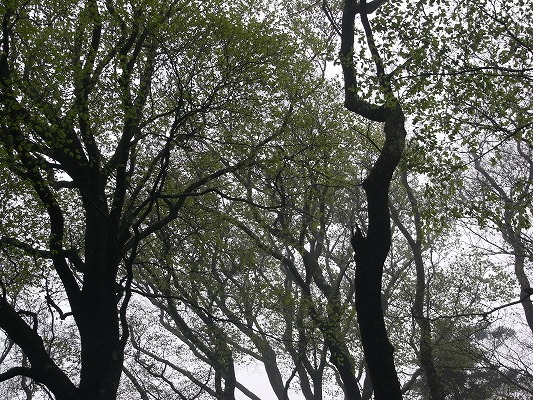f0187402_21142971.jpg