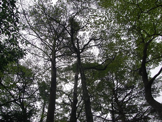f0187402_2115933.jpg
