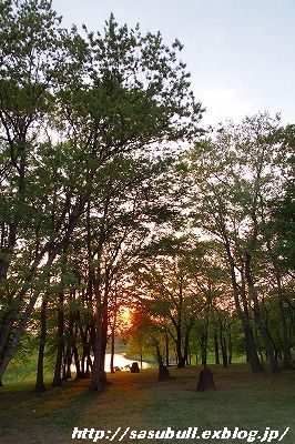 e0145805_2253215.jpg