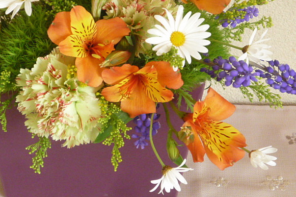 a0214206_19483312.jpg
