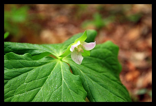 b0014607_20522147.jpg