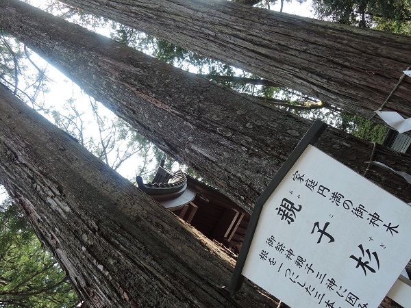 e0087008_10311649.jpg
