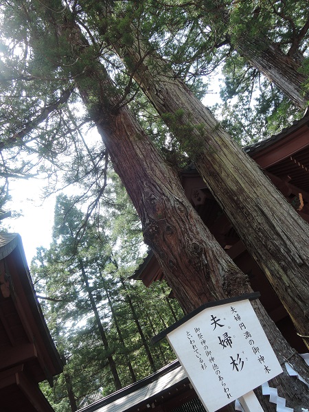 e0087008_1031896.jpg