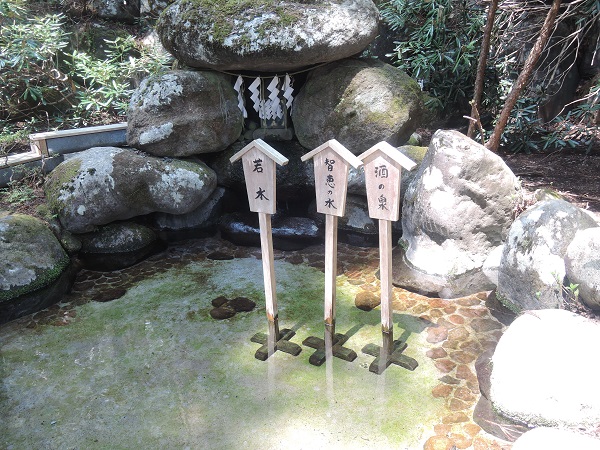 e0087008_10351461.jpg